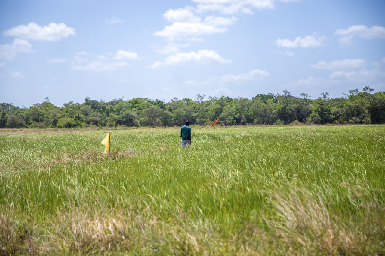 Forced Out of Their Own Land: Sinhala Colonisation in the Vanni