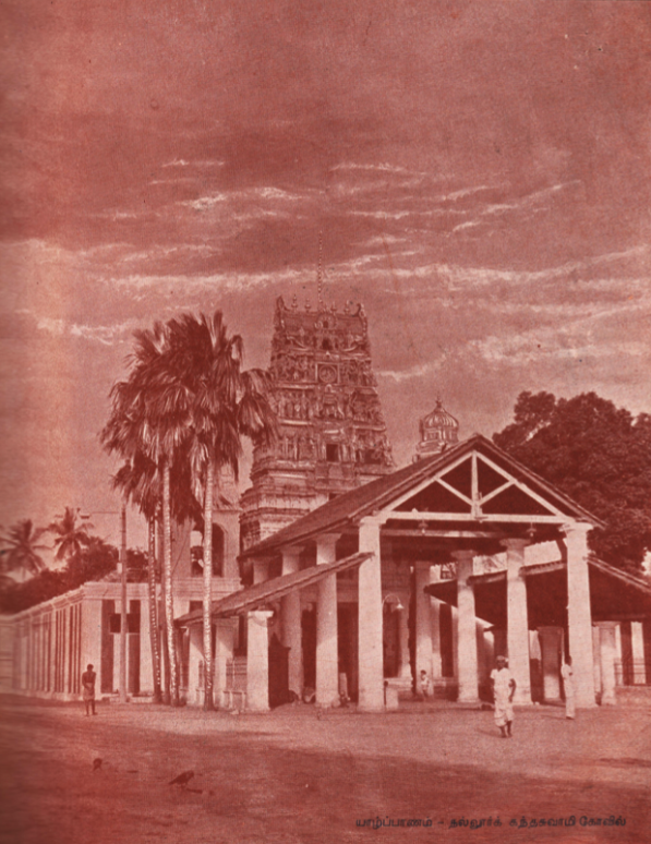 The Other 1956: The Ignored National Struggle
